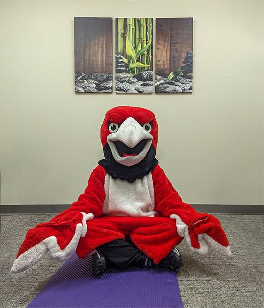 红鹰吉祥物盘腿坐在调停室的紫色瑜伽垫上